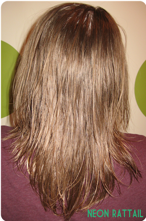 DIY Lemon Juice Hair Lightener Neon Rattail