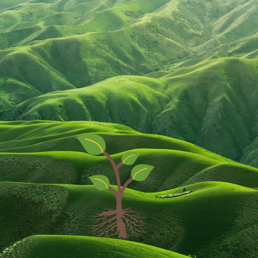 Why Are Flowering Plants The Most Successful Land Plants