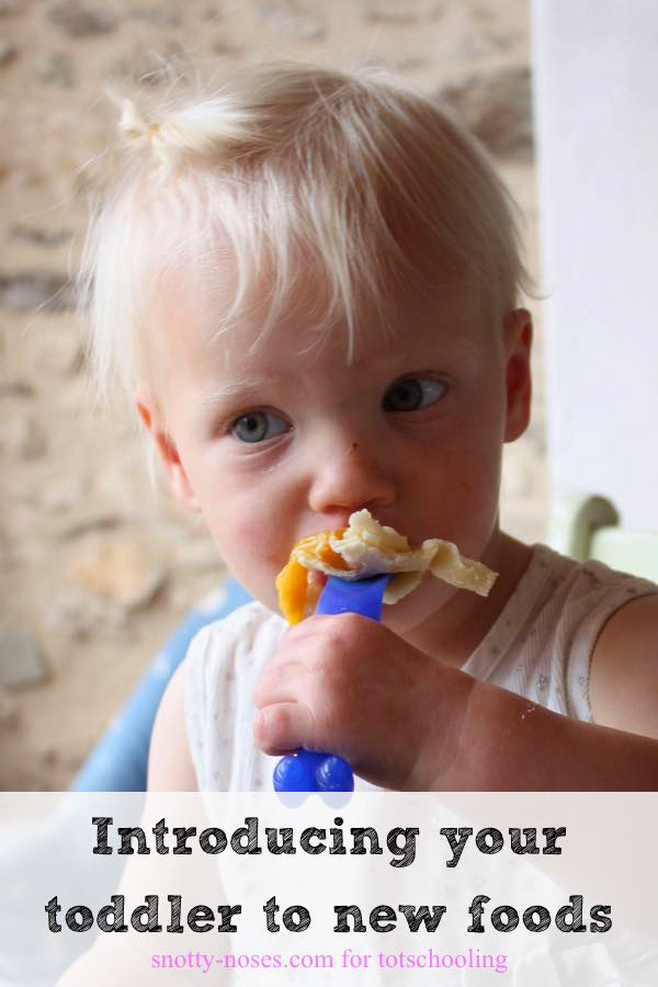 10 Tips to Help You Feed Your Toddler a Healthy Diet | Totschooling