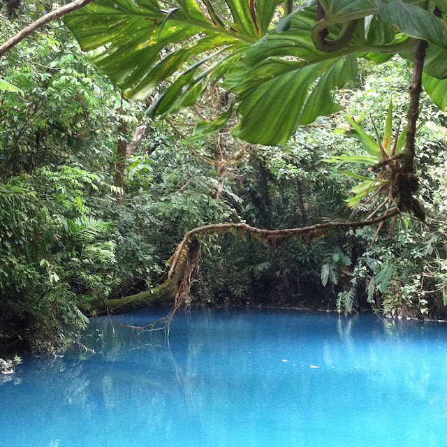 Rio Celeste das blaue Wunder Costa Rica`s