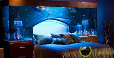 Aquarium tempat tidur