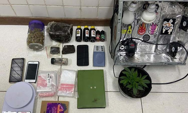 Operação apreende haxixe avaliado em R$ 84 mil em Salvador