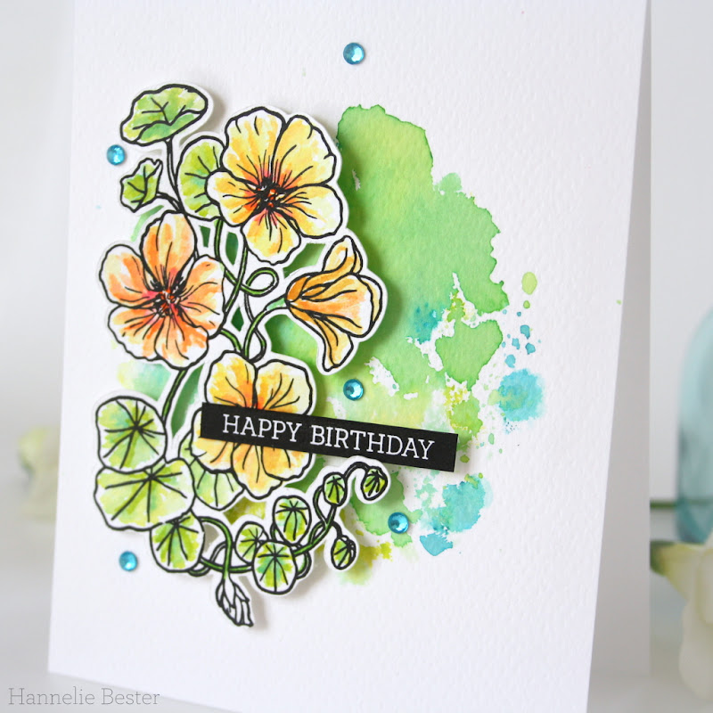 Hero Arts Florals - Nasturtium