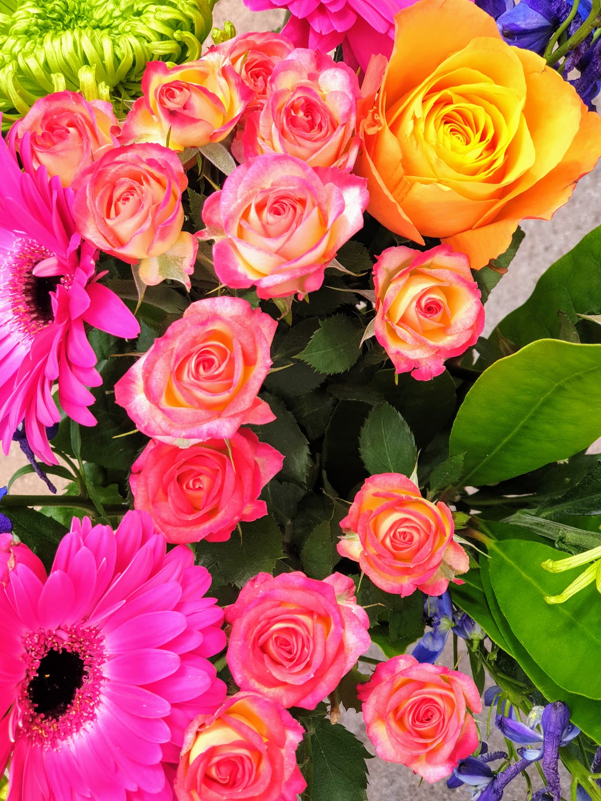 The Most Beautiful Bunch Of Flowers Claire's World