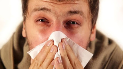 IMSS Sonora emite recomendaciones para prevenir alergias 