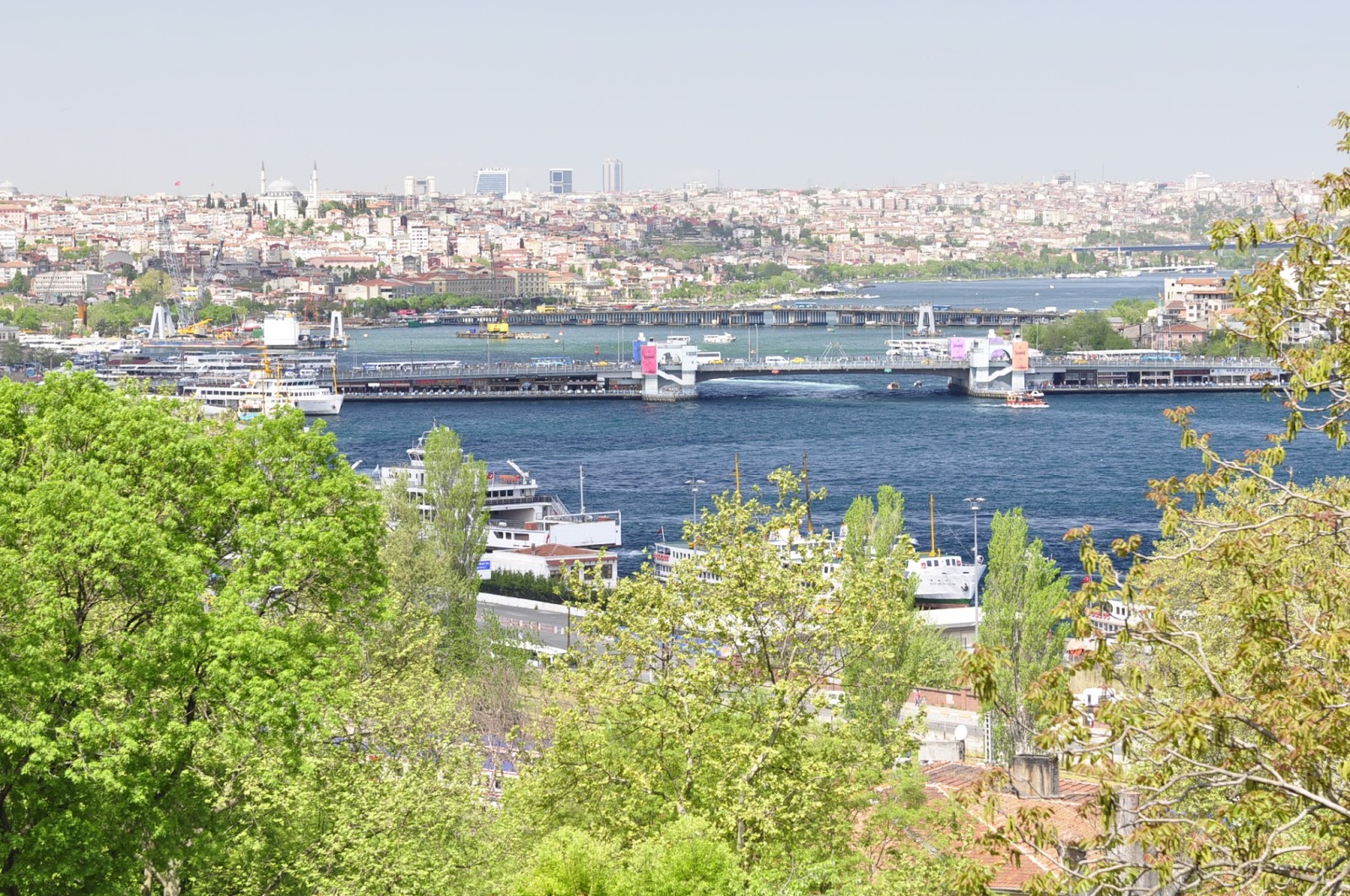 Estambul Sultanahmet El mirlo de papel