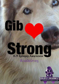 November Is Epilepsy Awareness Month #LiveGibStrong