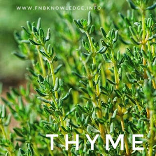 Types of herbs 