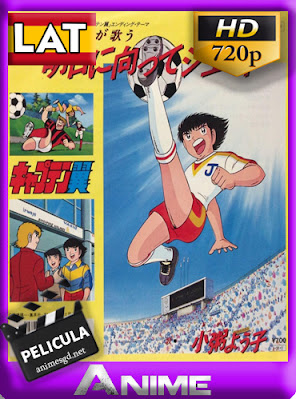 Super Campeones: La Revancha (1985) [Latino] [960p] [GoogleDrive] AioriaHD