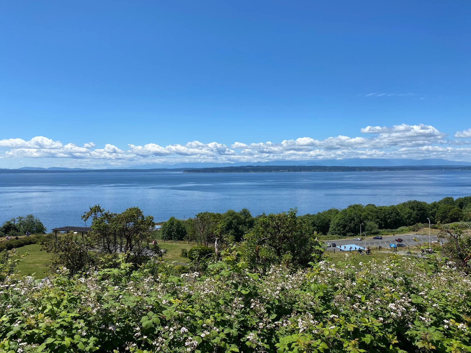 Shoreline Area News View of Puget Sound
