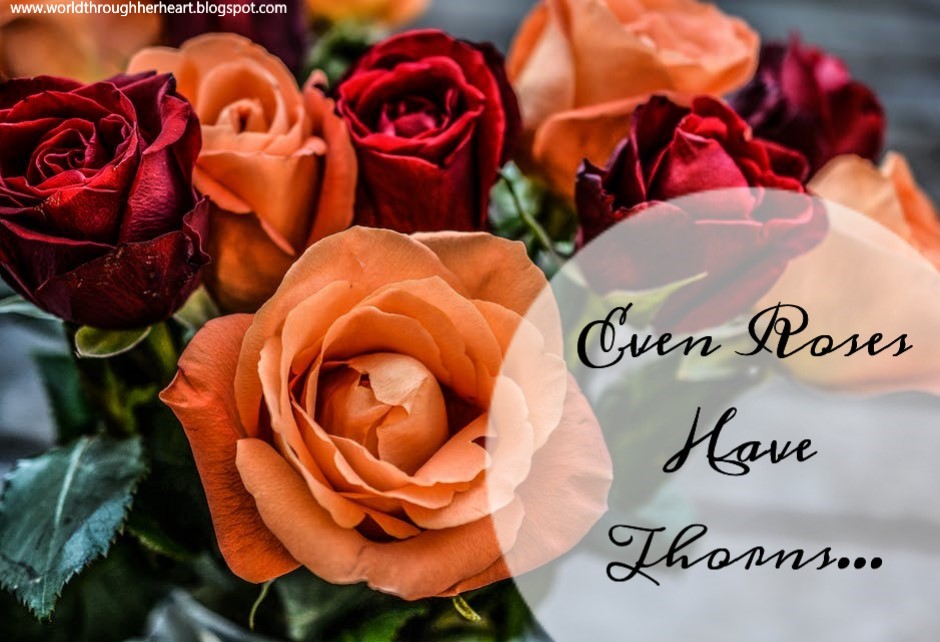 Even Roses Have Thorns A World Through Her Heart