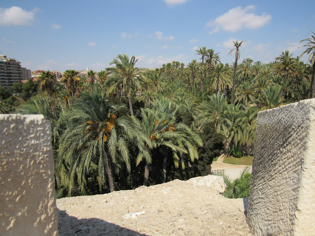 Palmeral de Elche, Patrimonio de la Humanidad