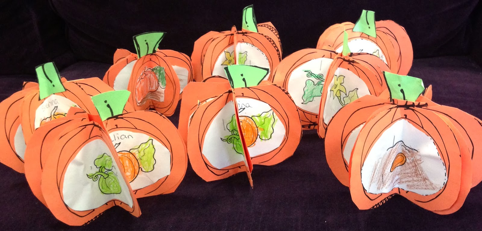 pumpkin-life-cycle-fun-savvy-teaching-tips