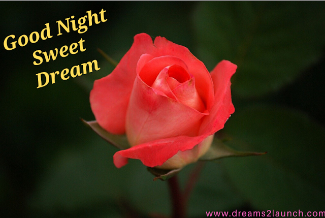 good night images good night images