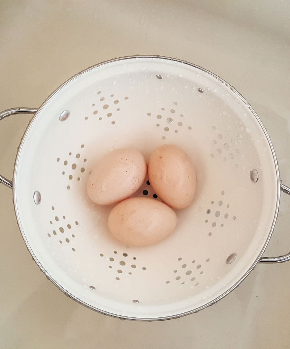 Why Should Eggs Be Stored Pointy End Down? / Coop to Kitchen