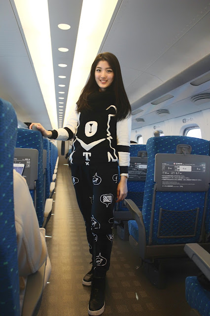 At Shinkansen