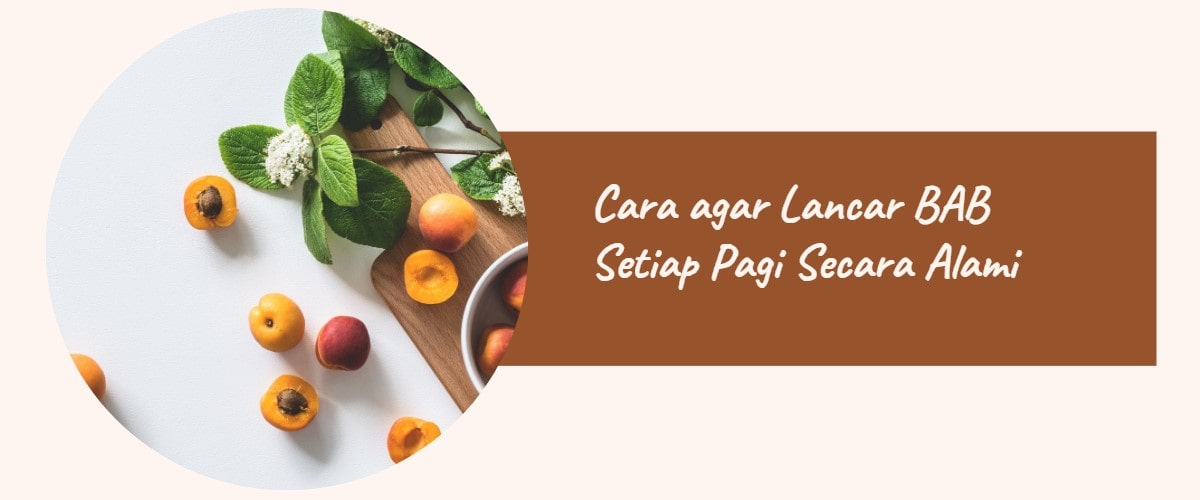 Cara agar bab lancar setiap pagi