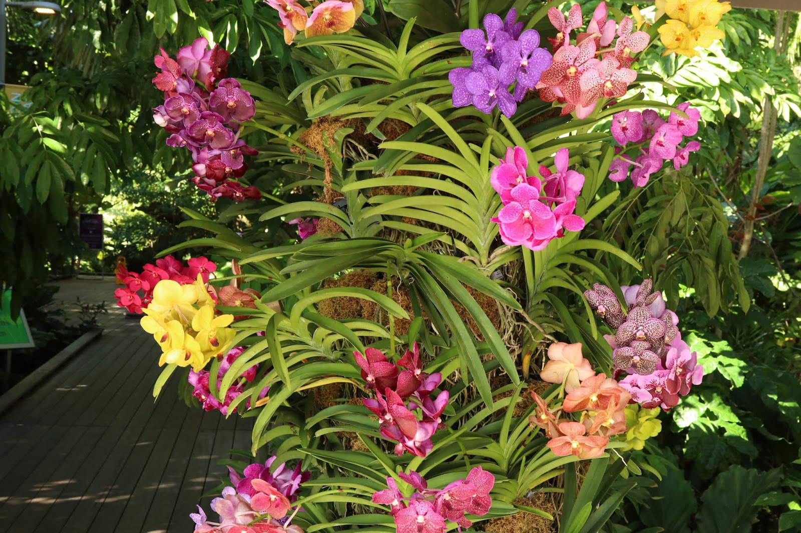 Southwest Daily Images Naples Botanical Gardens