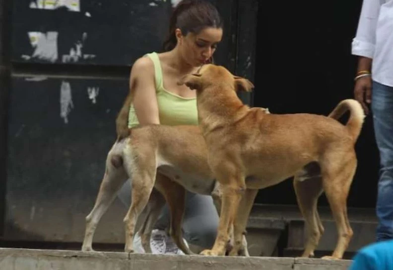 shraddha kapoor and dog 