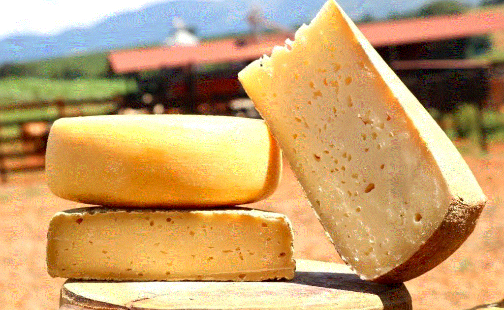 Queijo canastra capim canastra. сухой чеддер. графство сыров. родина сыра. графство сыров.