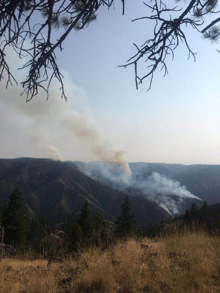 Blue Mountain Fire Information Rattlesnake Fire Evening Update Aug. 23