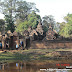 Outlying Temples: Angkor