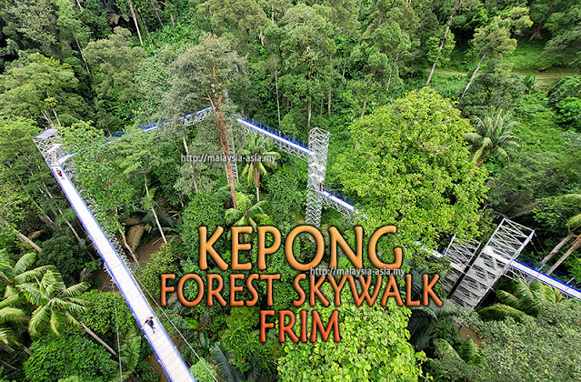 Skywalk de la forêt FRIM