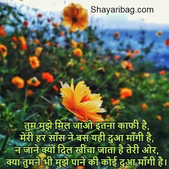 Love Shayari Photo Hd Download