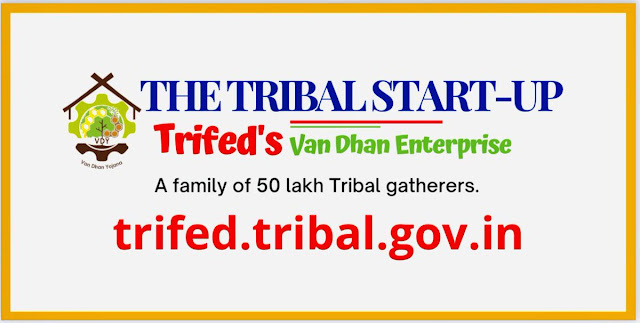 History of TRIFED, TRIFED - Tribes India