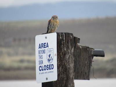 Modoc National Wildlife Refuge