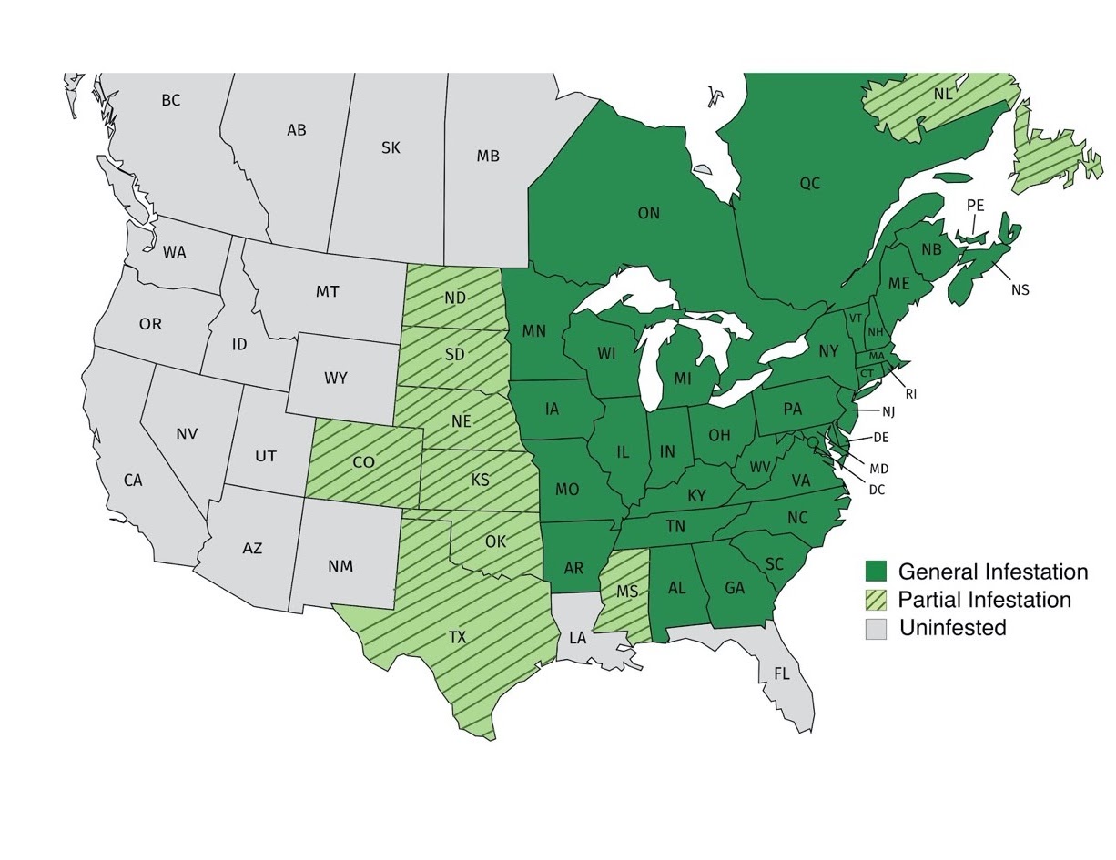 Managing Japanese Beetle and Variety - Japanese%2Bbeetle%2Bmap Shanovich 