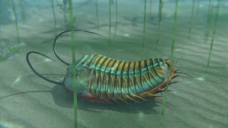 trilobites