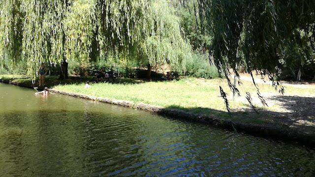 agua límpida agua límpida