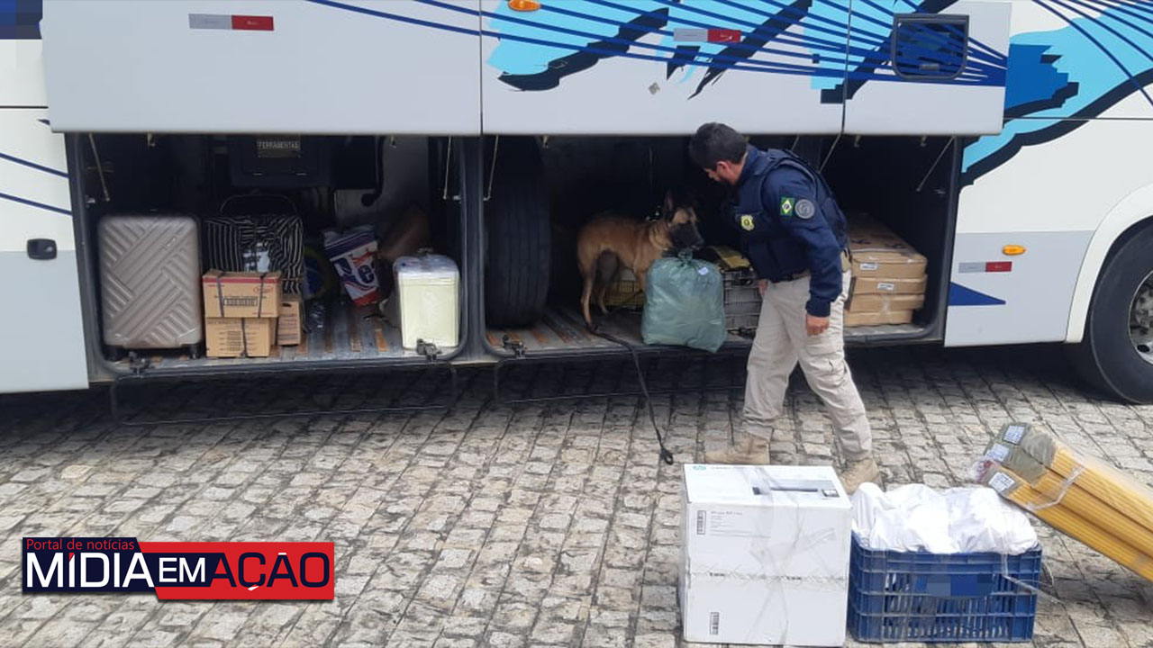 PRF realiza operação no Sertão de PE com apoio de cães farejadores