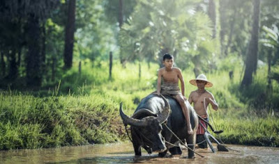 Nasehat Jawa Tentang Kehidupan