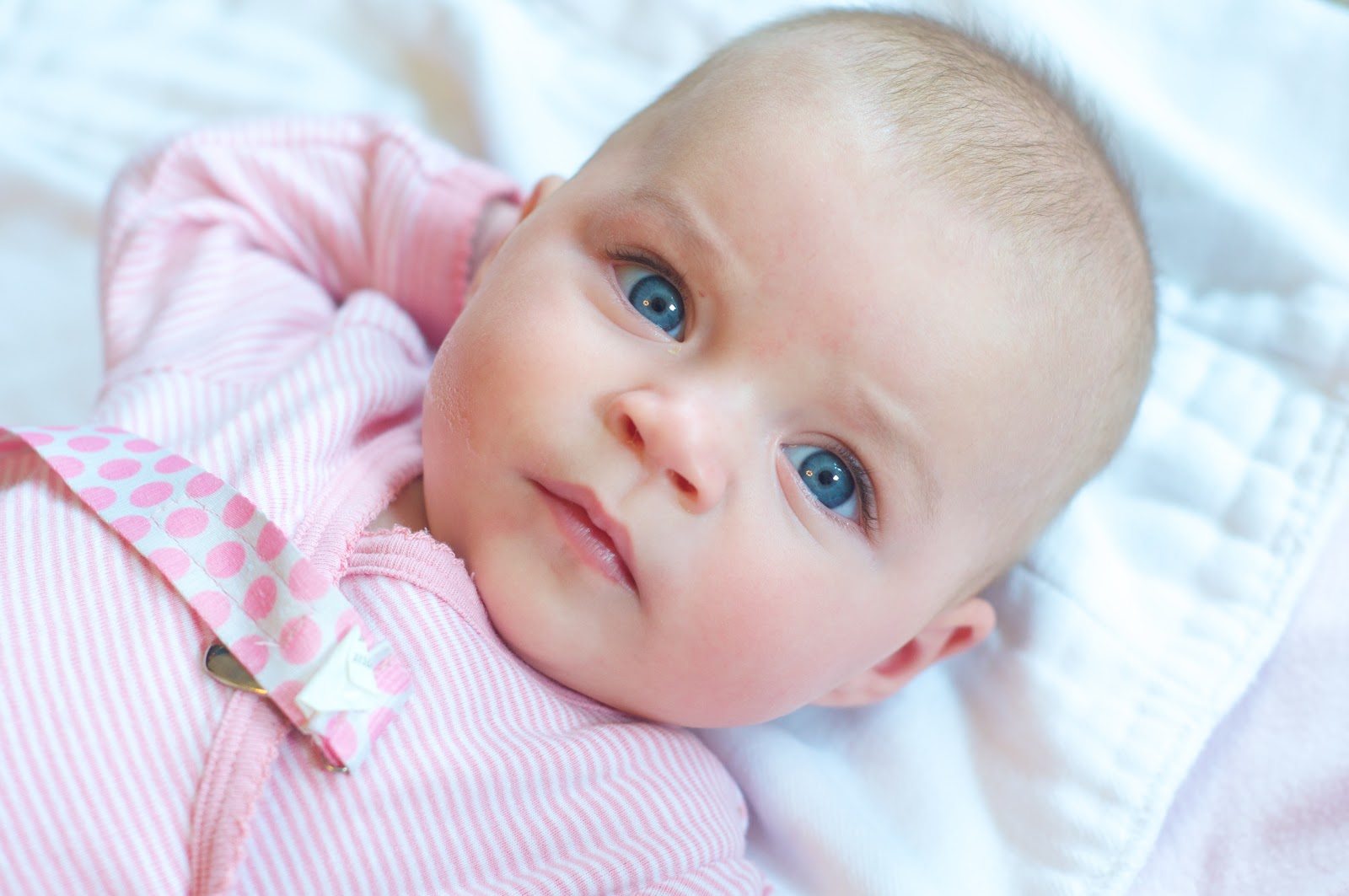 Family Snodgrass Gerber Baby