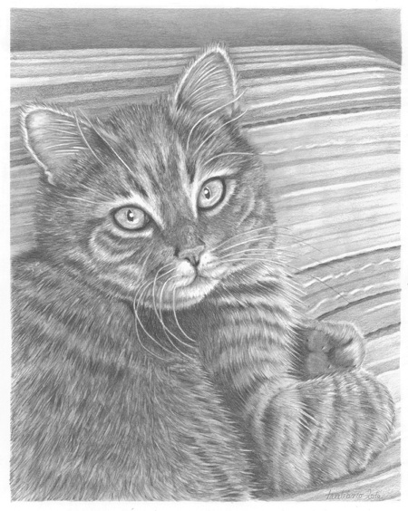 Wildlife & Pet Fine Art Sketchbook by Tara Tiberio: GiGi ...