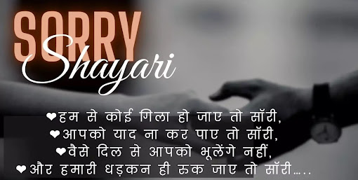 Sorry Shayari | Sorry Shayari for Friends