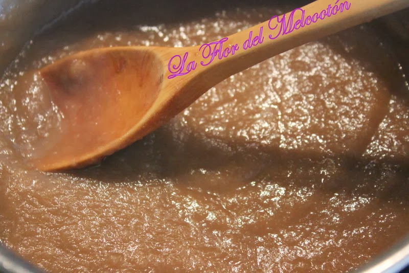 SALSA DE MANZANA PARA CARNES