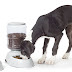 5 Best Automatic Pet Feeders