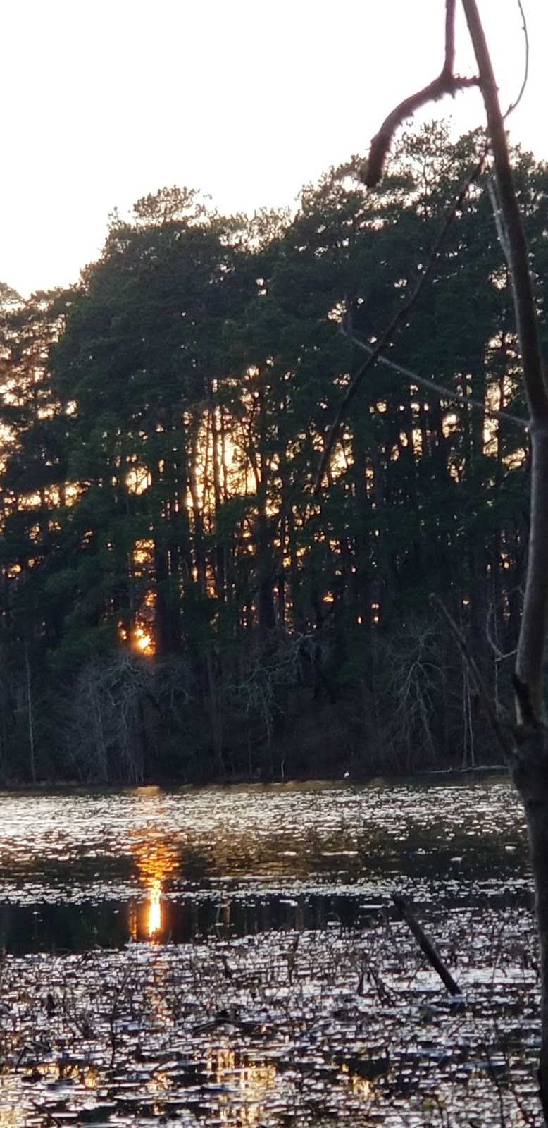 DebbieCPhillipsPhotography Huntsville State Park Days 1 and 2
