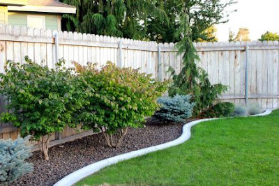 INFORMACIONES AGRONOMICAS: 15 Brillantes Ideas para Decorar Jardines en