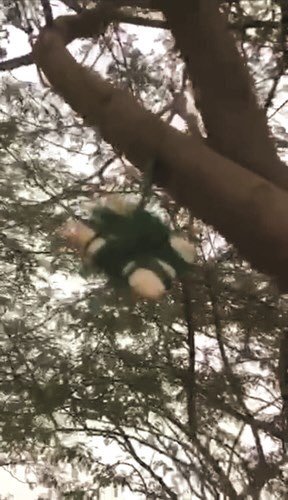 شيخ الدين يفتح سحر الشبكة الوطنية الكويتية