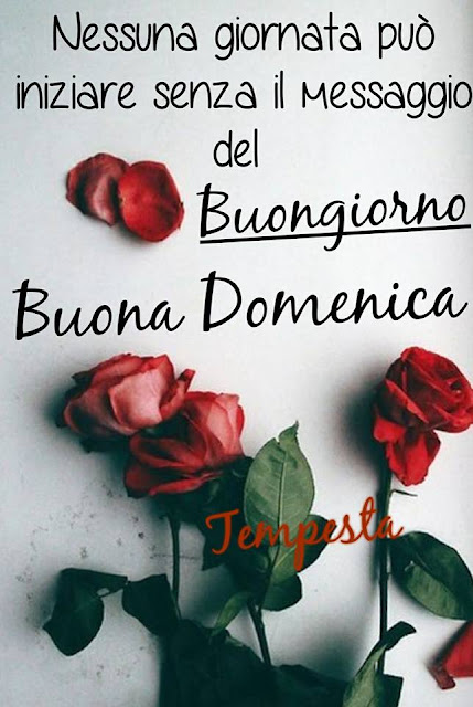 Risultati immagini per 13 gennaio buona domenica