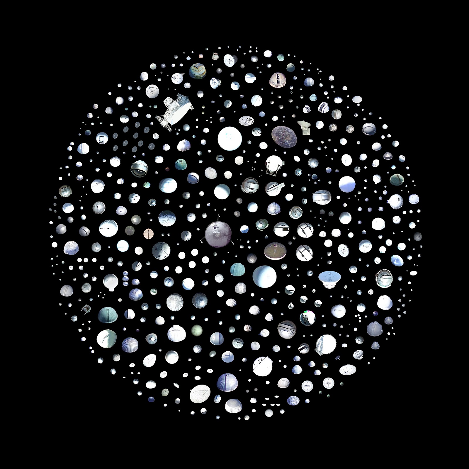 Musings from the Roost Noticing ii Jenny Odell, artist