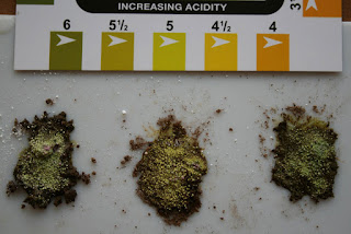 soil_test%2Bwith%2Bacid%2Bsoil.jpg