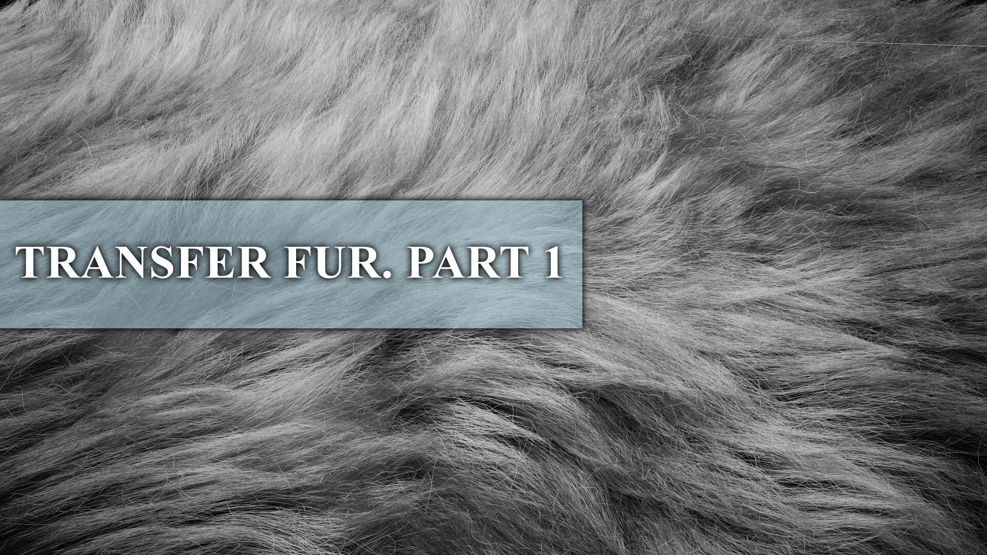 TRANSFER_FUR_PART1_YOUTUBE.jpg