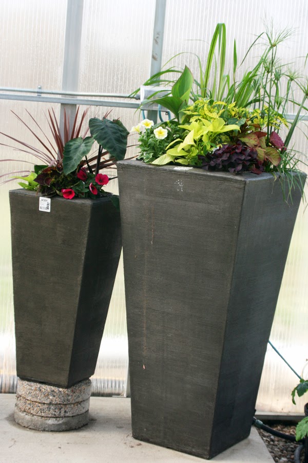 Green Thumb Greenhouse