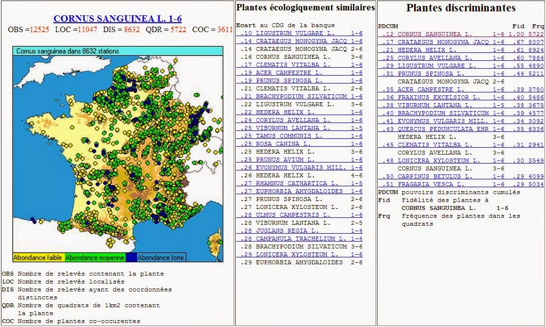 biotope%2Bcornouiller%2Bsanguin%2Bphytotype