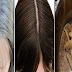 Potato Peel in Water Solution to Solve Your Grey Hair Problems Naturally And Permanently